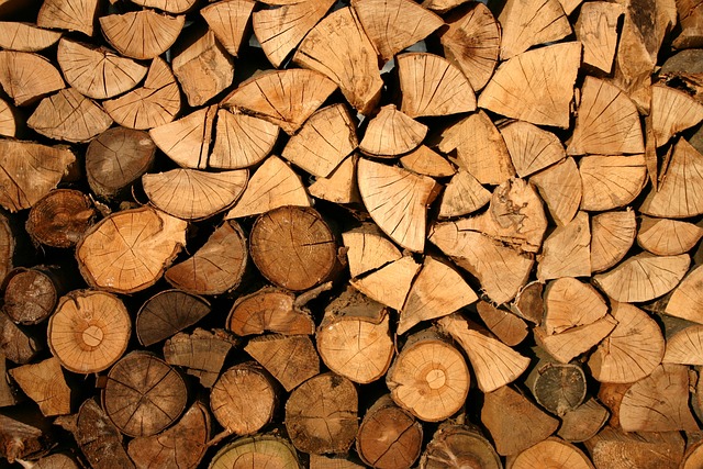 stockage de bois